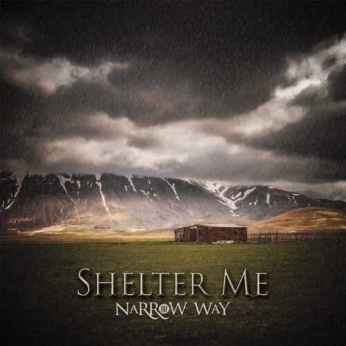 Shelter Me (MP3 Download)